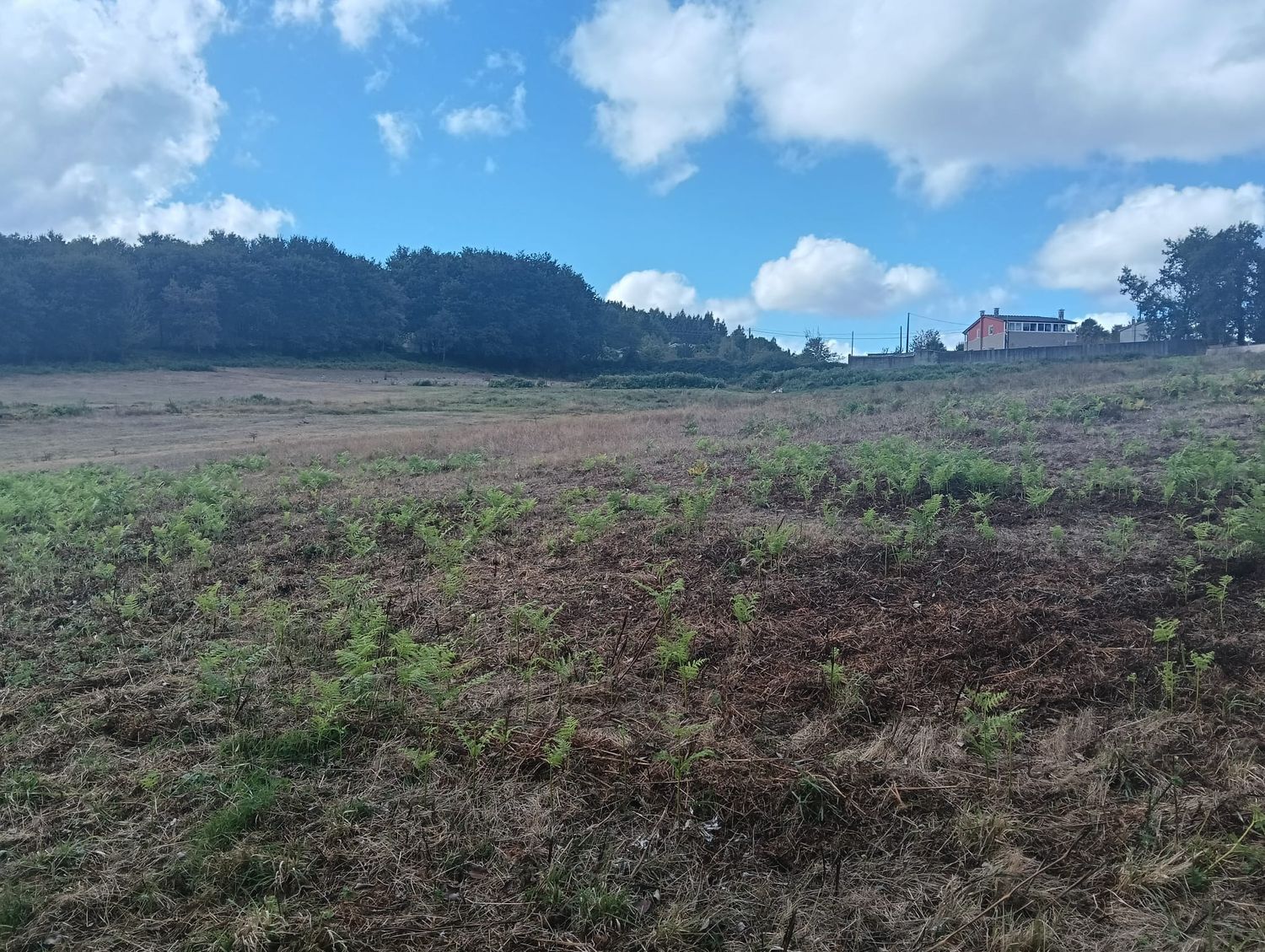 Terreno en Calzada Lugar da Torre 